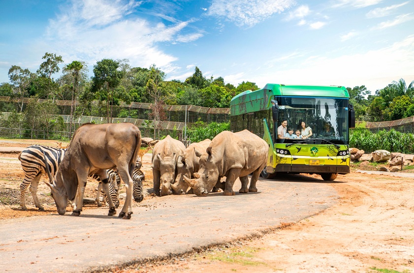 Trọn bộ] Kinh nghiệm đi Vinpearl Safari Phú Quốc 2023 đầy đủ, chi tiết nhất