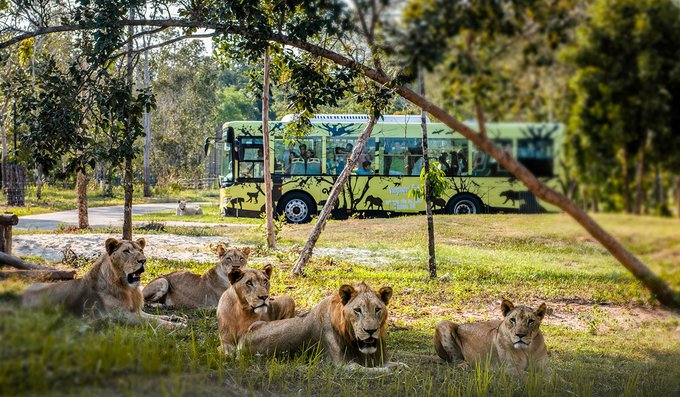 Vinpearl Safari Phú Quốc, Vườn Thú Bán Hoang Dã HOT - Klook Blog
