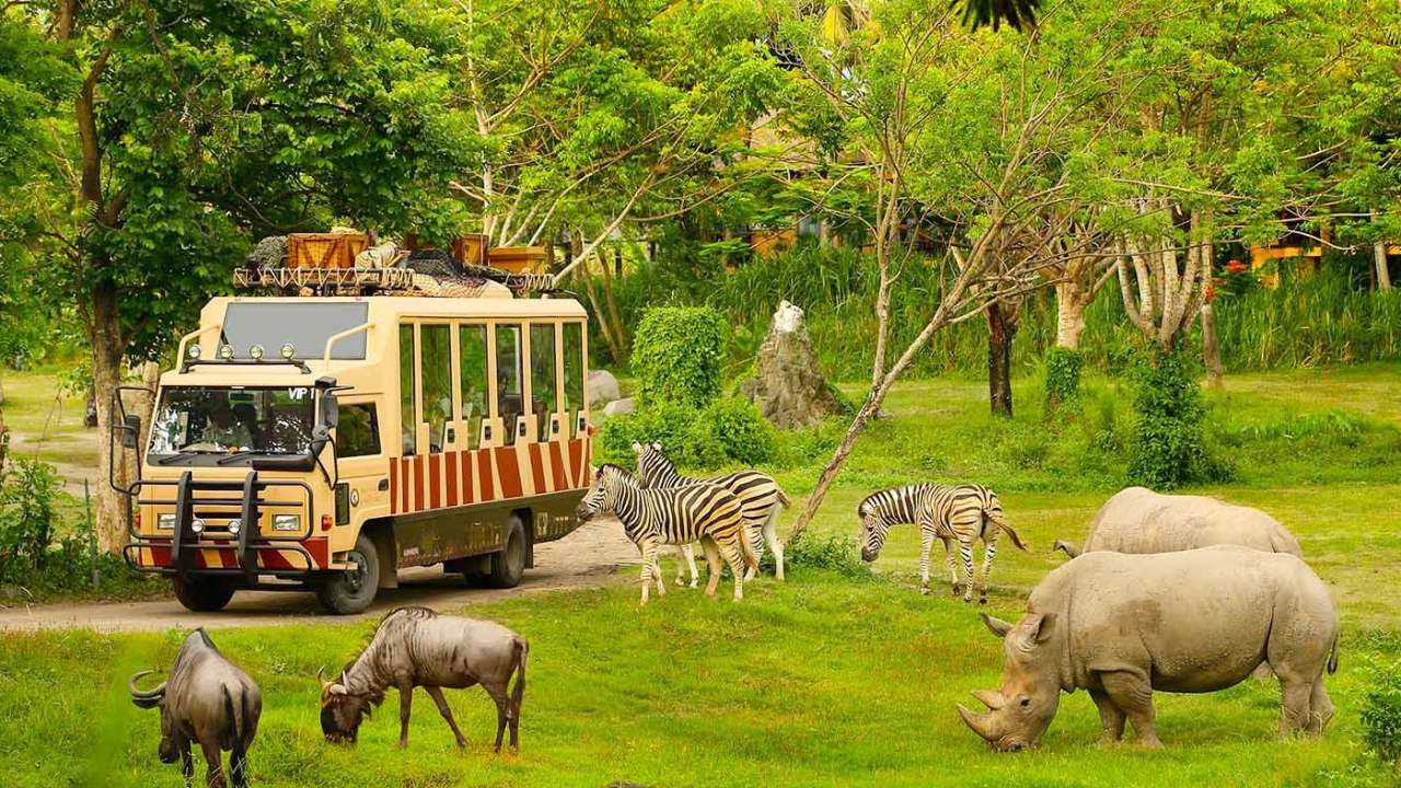 Safari Phú Quốc - Kinh nghiệm du lịch Safari Phú Quốc 2023